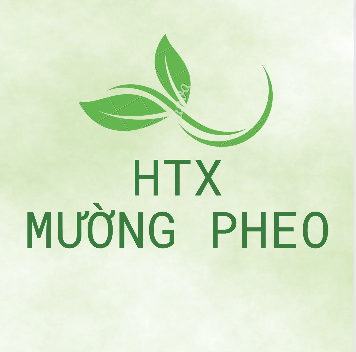 HTX Nông nghiệp thương mai và dịch vụ Mường Pheo